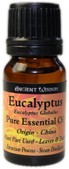 OL05 Eucalipto